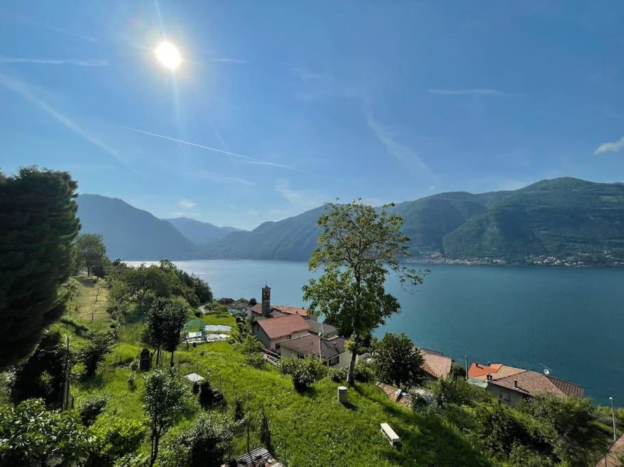 Il Noce Lake View Apartment Lezzeno Εξωτερικό φωτογραφία